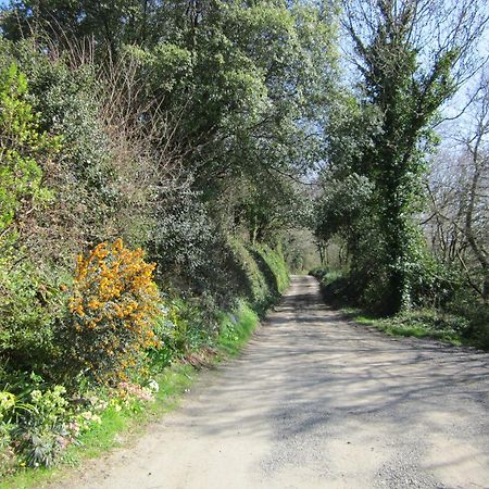 Higher Coombe Bovey Tracey Eksteriør bilde