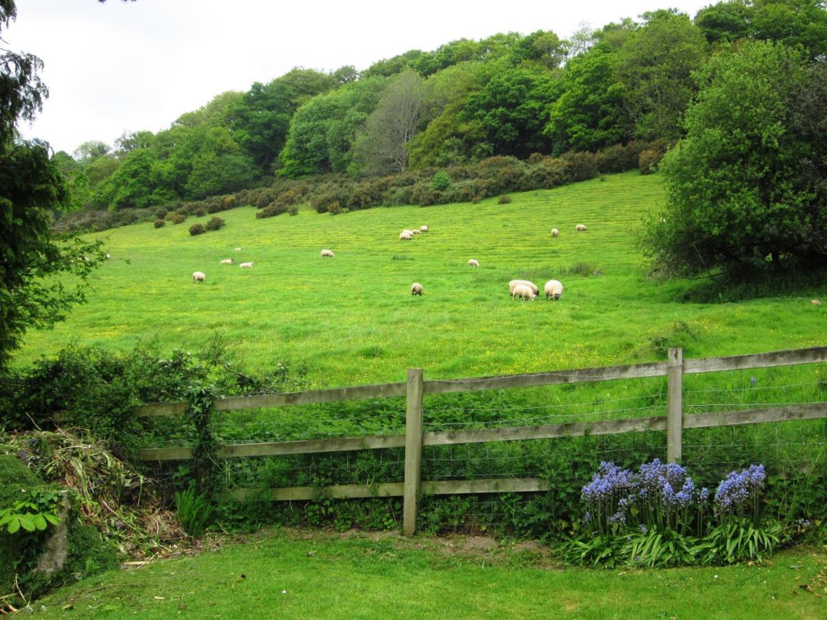 Higher Coombe Bovey Tracey Eksteriør bilde