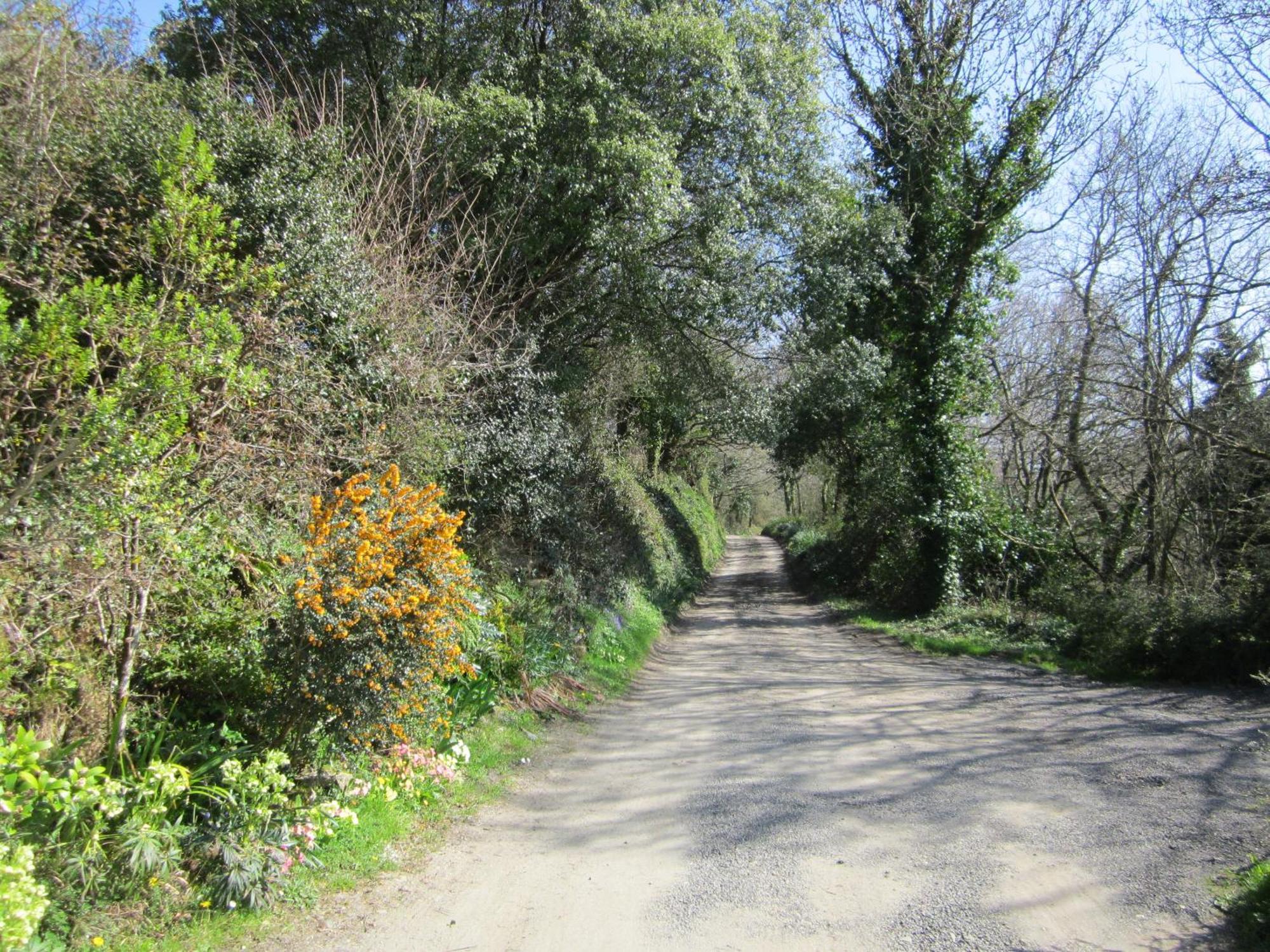 Higher Coombe Bovey Tracey Eksteriør bilde